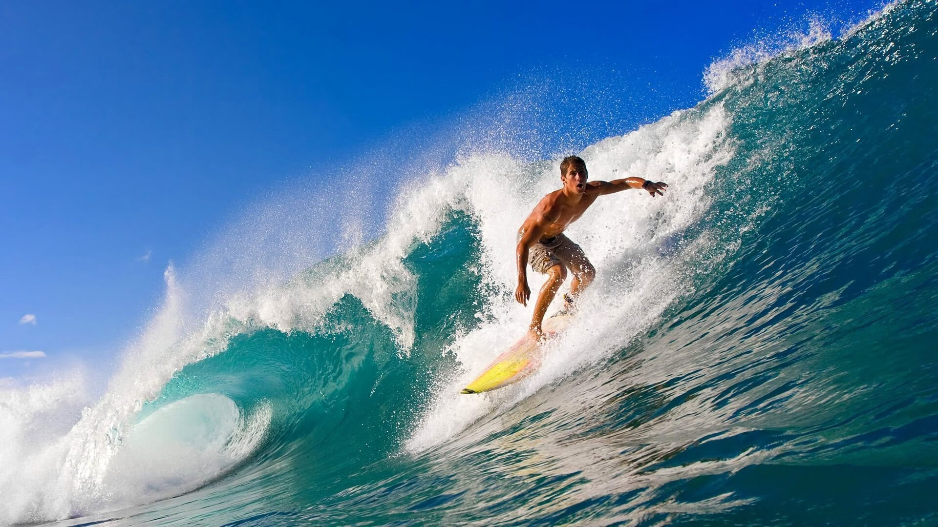 乐鱼体育APP官方下载-_新锐崭露头角：年轻球员崛起引发行业震动_，新兴球员